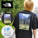 【動画あり】ネコポス発送!送料無料 ノースフェイス 半袖Tシャツ メンズ レディース UV 生地厚 オーバーサイズ THE NORTH FACE ヨセミテ シーナリー ティー S/S Yosemite Scenery Tee バックプリント オーガニックコットン NT32436 2025春夏新色