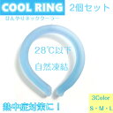 ＼即納★在庫あり／クールリング 大人 子ども PCM 冷却 自然凍結 暑さ対策 猛暑対策 首掛け 電気不要 冷却 熱中症対策 ひんやりグッズ アイスネックバンド アイスネッククーラー キッズ ネッククーラー 冷感 28度 メール便送料無料 2個セット