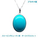 【送料無料】プラチナ製スリーピングビューティ産 天然ターコイズPH13.5ct■4312