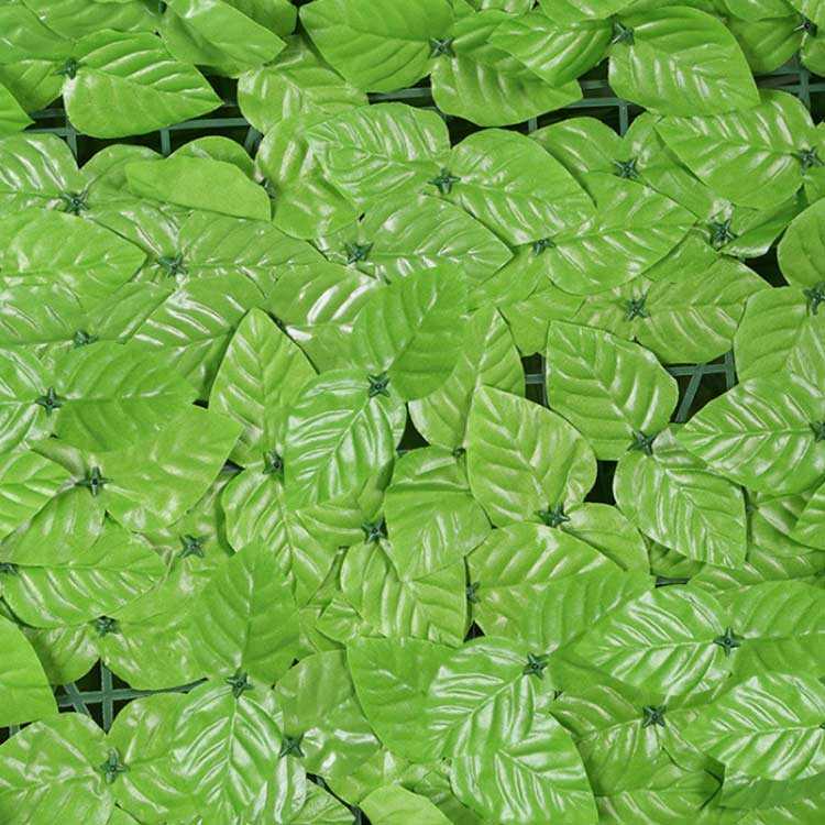 ���꡼��ե��� �꡼�եե��� �꡼�ե�ƥ��� �ܱ��� �ϡ��ɥͥåȥ����� ���褱 ���󥷥����� �ե��������꡼�� �͹����տ�ʪ ���� �����ǥ�ե��� ���Ⲱ��������