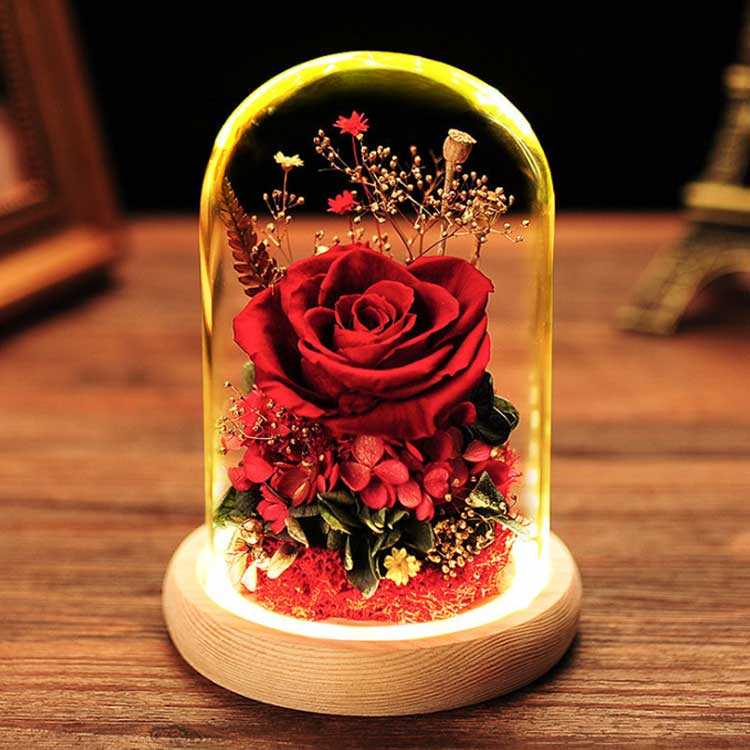 �ץꥶ���֥ɥե� �Ϥ�ʤ��� ���饹�ɡ��� �� �ɥ饤�ե� �Х� �ե����ե� ���եȥܥå��� �ʱ�β� LED�饤���դ�