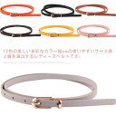 送料無料 細ベルト レディース 全12色 調節可能 ベルト 細い おしゃれ 女性用 細いベルト カラーベルト ゴールドバックル スリムベルト シンプル かわいい...