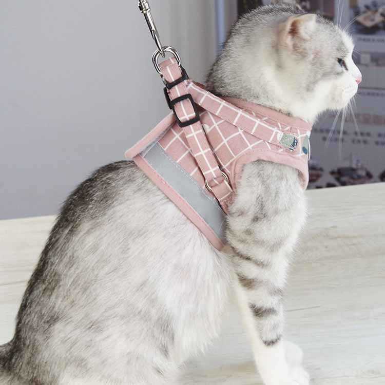 ǭ ǭ�� �ϡ��ͥ� �ͤ� �꡼���� �ڥå� �٥��� �������ϡ��ͥ� ����å� �ɥå� ��å��� ���襤�� ȴ���ʤ� ��ñ���� ���� ƹ�� ���Ф��� ����å� �ɥå�����̵��