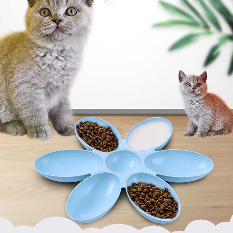 ペット食器 多頭飼い お皿 犬 猫 フラワーディッシュ 猫用食器 エサ入れ ペット用 ペットグッズ ペット皿 おやつ皿 子猫 便利 フラワーディッシュ 輪になって食べれる お手入れしやすい インスタ映え 2