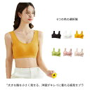 送料無料 6色 ブラジャー 胸を小さく見せるブラ 補正ブラ 補正下着 胸が小さく見えるブラ 大きな胸を小さく見せるブラ 大きいサイズ 着やせ
