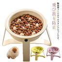 早食い防止 餌入れ 食器台 犬 ペット 食器 ペットボウル 洗い可能 陶器 フードボール フードボウル 小型犬 猫 犬 早食い防止フードボウル 高台 ペット 中...