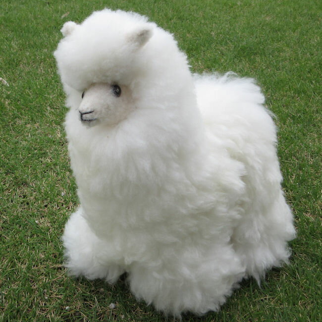 高さ約30cm ぬいぐるみ 大型39 ベビーアルパカ100％毛皮 可愛い ソフト アンデス ペルー アルパカ リャマ インカ ナスカ フォルクローレ