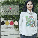 【ファイナルセール】KANSAI BIS カンサイビス リザーブウォーム プルオーバー レディース 長袖 チュニック カットソー Tシャツ ソフトタッチ プリント 着丈長め おしりカバー カジュアル 60代 70代 大人 M L サイズ 秋 冬 elife イーライフ