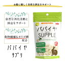 【日本製 小動物用栄養補助食品】パパイヤ お徳用 100g ペット用サプリ 三晃商会 SANKO 栄養サポート サプリメント 小動物 青パパイヤ 毛玉ケア 消化 脂肪燃焼 腸内環境を整えるフラクトオリゴ糖 タブレットタイプ ハムスター リス うさぎ モルモット 日本製