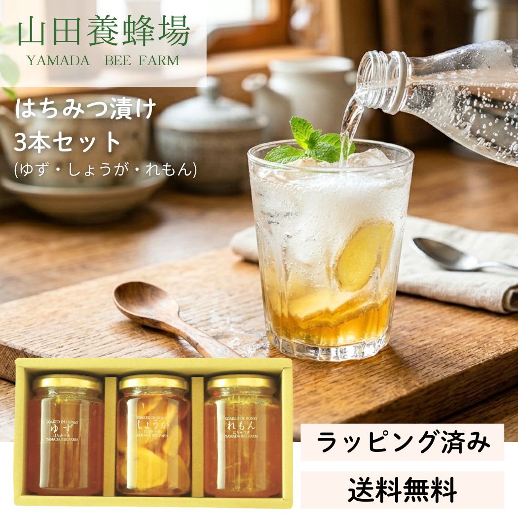 Rakuten - ギフト お中元 山田養蜂場 はちみつ漬け ゆず しょうが レモン 蜂蜜 父の日 敬老の日 プレゼント お礼 挨拶 果物