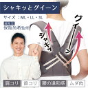 ギフト シャキッとグイーン 1回5分の姿勢補整 姿勢 お腹 肩 背中 ...(4)