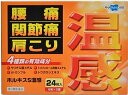 第3類医薬品ホルキスS温感 24枚