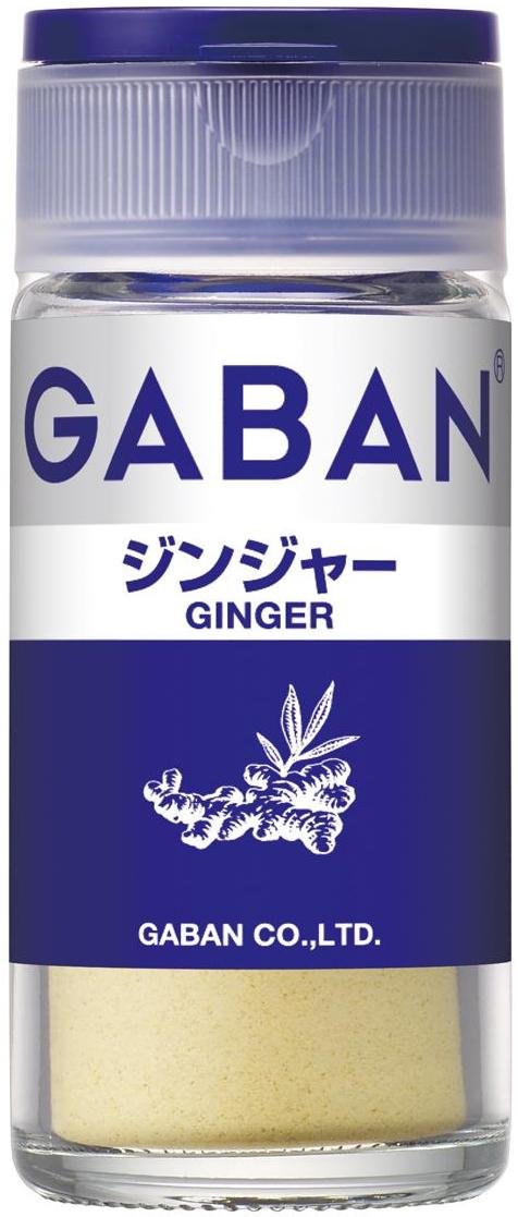GABAN(Х) ϥ GABAN 󥸥㡼ѥ 18g5