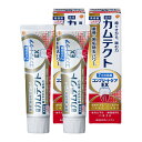 カムテクト コンプリートケアEX医薬部外品歯磨き粉 歯周病(歯肉炎・歯槽膿漏) 予防 105g 2本 セット 105グラム (x 2)