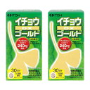 井藤漢方製薬 イチョウ DXゴールド 約30日分 250mgX240粒 イチョウ葉エキス フラボノイド テルペンラクトン 健康補助食品 イチョウ葉 サプリ×2個