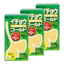 井藤漢方製薬 イチョウ DXゴールド 約30日分 250mgX240粒 イチョウ葉エキス フラボノイド テルペンラクトン 健康補助食品 イチョウ葉 サプリ×3個