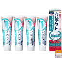 4個セットカムテクト コンプリートケアEX 口臭ケアプラス 105g×4個 歯周病(歯肉炎・歯槽膿漏) 予防 歯磨き粉 ちょっとギフト付