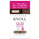 STEPHEN KNOLL(スティーブン ノル) カラークチュール カラートリートメント 002 ダークブラウン 白髪染め ダメージ補修 ヘアカラー サロン 15ミリリットル (x 1)
