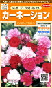 サカタのタネ 実咲花7100 カーネーションシャボージャイアントミックス 00907100
