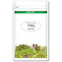 エクレクティック イチョウ (ギンコ) Ecoパック 500mg×180カプセル ec024