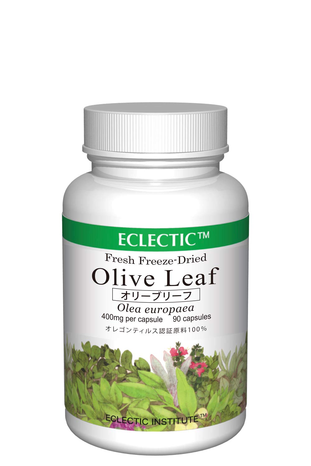 エクレクティック オリーブリーフ FFD90 400mg×90カプセル