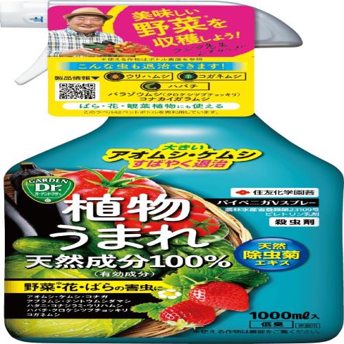 ͧر  ѥ٥˥Vץ졼 1000ml ˥å ®  
