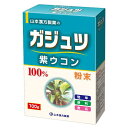 山本漢方製薬 ガジュツ(紫ウコン)100% 100g