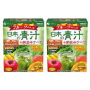ファイン(FINE JAPAN) フルーツの入った日本の青汁+納豆キナーゼ 大麦若葉 ケール ゴーヤ 納豆キナーゼ 2000FU 乳酸菌50億個 食物繊維 ビタミン 配合 30本入(3g×30包/1日1本)×2個