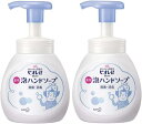 2個セットビオレu 泡ハンドソープ ポンプ 250ml