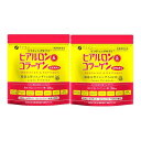 ファイン(FINE JAPAN) ヒアルロン コラーゲン + 還元型コエンザイムQ10 袋タイプ 30日分(210g入) ハトムギエキス エラスチン ビタミンC 配合 国内生産×2個セット