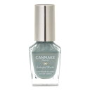 キャンメイク カラフルネイルズ N84 ヘイジーレイン 8ml ネイル 高発色 速乾 青緑 ゴールド パール
