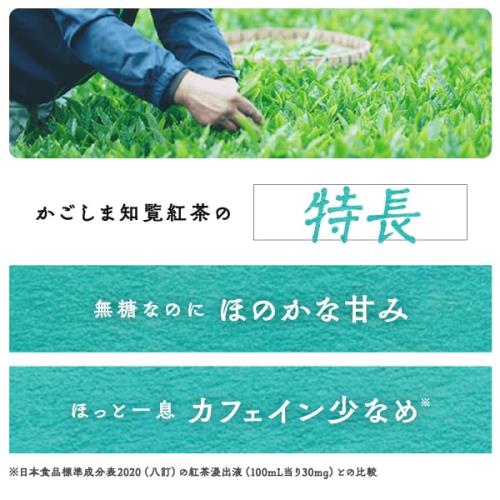 TOCHIとCRAFT かごしま知覧紅茶無糖500ml×24本 elimino-10131725 eli-mino ゆらぎ薬局 サンプル画像2