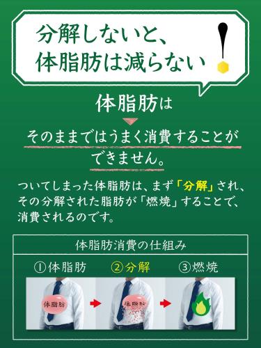 [トクホ]特定保健用食品 特茶カフェインZERO(カフェインゼロ)500ml×24本 elimino-10132047 eli-mino ゆらぎ薬局 サンプル画像3