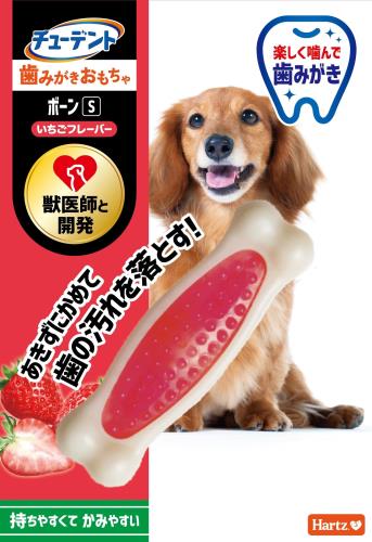 デンタルトイ ボーン 犬用おもちゃ 歯磨きおもちゃ S いちごフレーバー | ハーツ(Hartz) | デンタルケア | 歯みがき