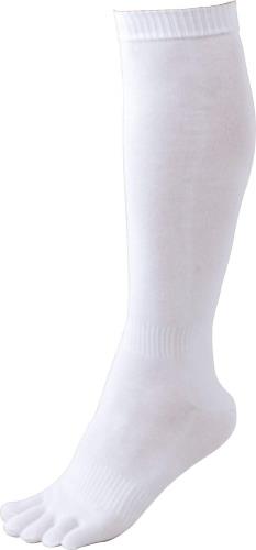 ZETT(ゼット) 野球 ソックス(ストッキング) アンダーソックス 5本指タイプ 3足組 1セット ホワイト(1100) 26~29cm BK035O 靴下(くつした) ホワイト(1100) 26-29cm