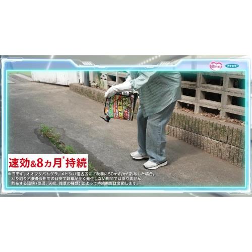 フマキラー 除草剤 カダン除草王シリーズプロ 除草王シャワーS エコパウチ 4.5L 速効除草＆長期効果