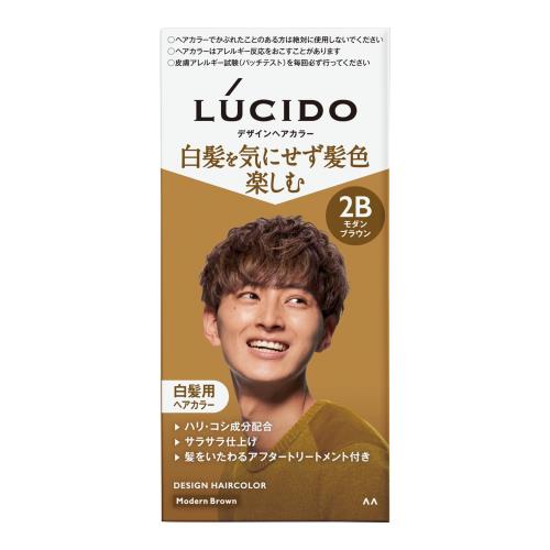 LUCIDO(ルシード) 医薬部外品デザインヘアカラー モダンブラウン [ 白髪染め メンズ ] [ クリームタイプ ] [ 白髪を気にせず 明るい髪色 楽しめる ]