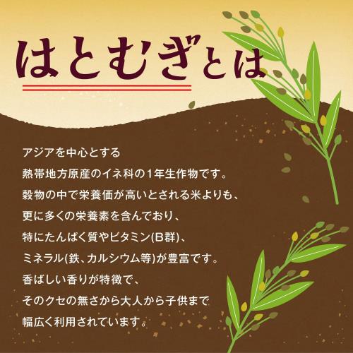 キッコーマン　ヒゲタ　味名人　コク辛スープ　500ml×12個
