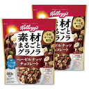 ケロッグ 素材まるごとグラノラ ヘーゼルナッツチョコレート 400g×2個セット バッグ セット買い
