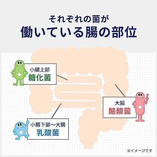 ビオスリーHi錠 270錠指定医薬部外品整腸剤 [酪酸菌/糖化菌/乳酸菌 配合] 錠剤タイ...