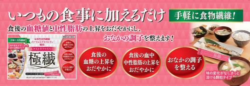リードヘルスケア エクストラファイバー極繊 3.1gX30本