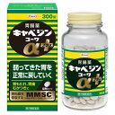 第2類医薬品キャベジンコーワαプラス 300錠