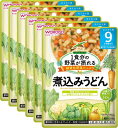 和光堂 1食分の野菜が摂れるグーグーキッチン 煮込みうどん 100グラム (x 6)