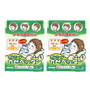 指定医薬部外品オムニードかぜペッタン 胸サイズ12枚入り×2個セットテイコクファルマケア鼻づまり、くしゃみ等のかぜに伴う諸症状を緩和