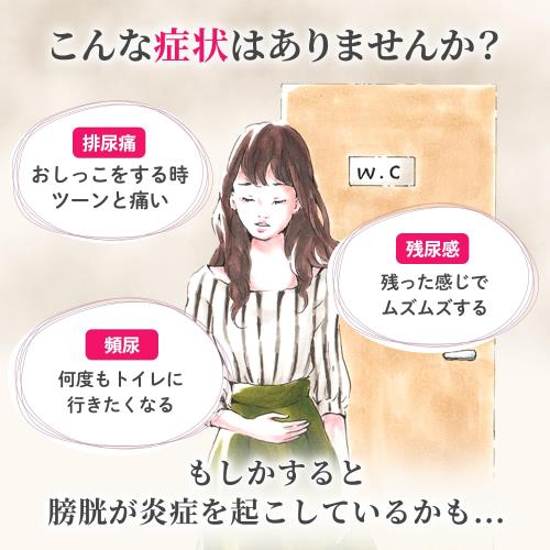 第2類医薬品ボーコレン 48錠