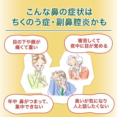 第2類医薬品チクナインa 28包