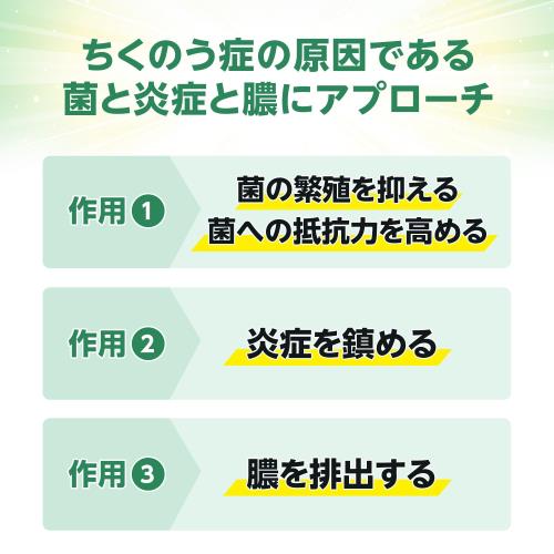 第2類医薬品チクナインa 28包