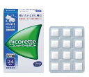 指定第2類医薬品ニコレットクールミント 24個