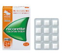指定第2類医薬品ニコレットフルーティミント 24個