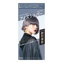 ホーユー ビューティーン メイクアップカラー アイスシルバー (ヘアカラー おしゃれ染め) 泡 髪染め (医薬部外品)